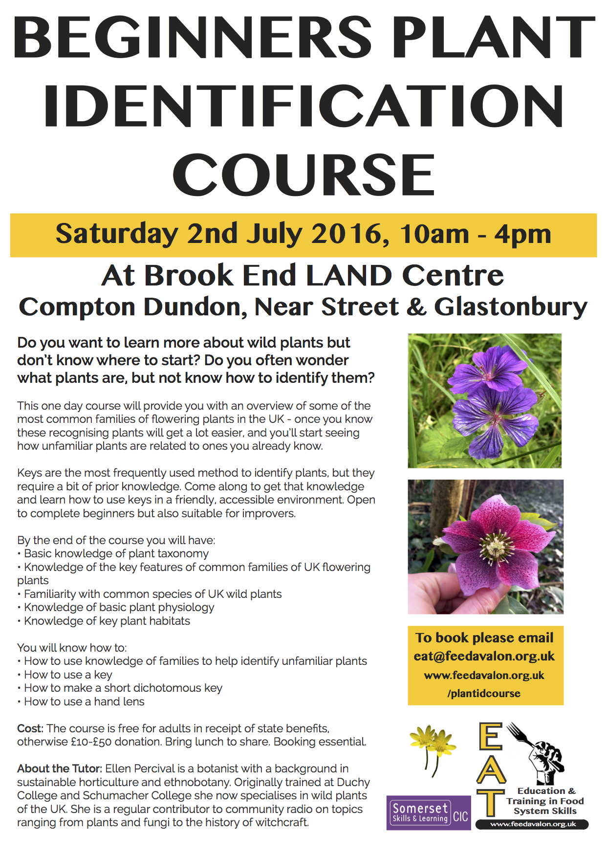 Discover the amazing world of plants Beginners Plant Identification